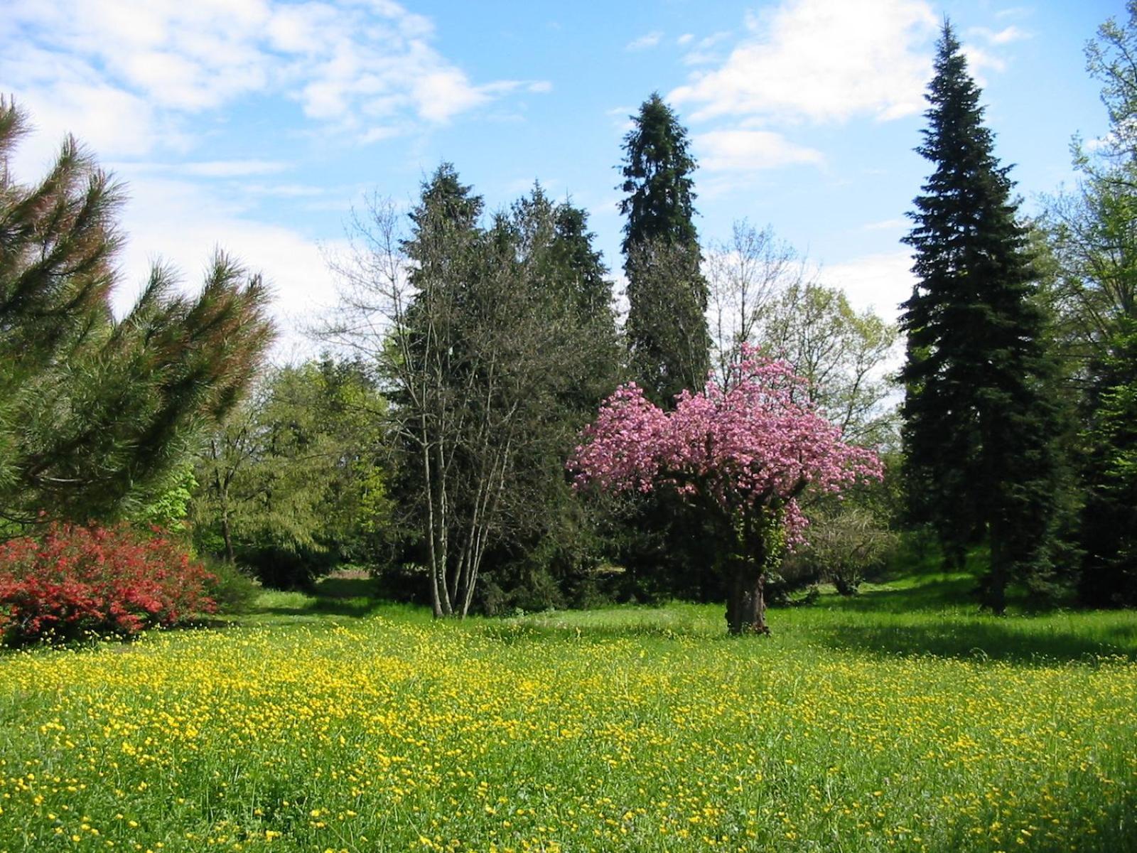 Agriturismo Villa Gropella Valenza Exterior foto